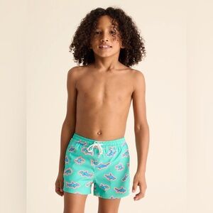 Chubbies Boys Lined Classic Swim Trunk